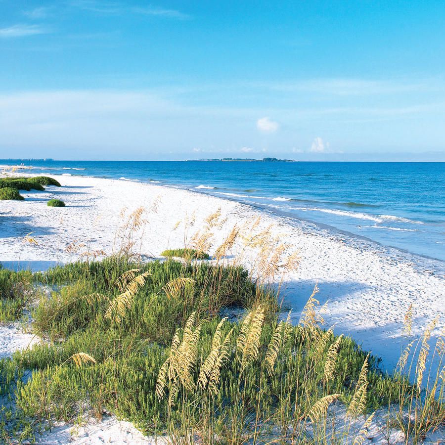 16+ Top 10 Vacation Spots In Florida Images