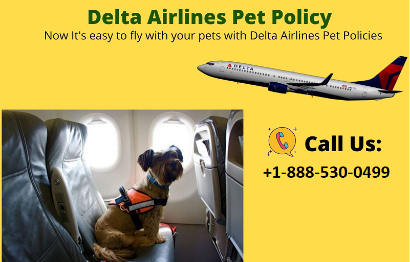 Jetblue Pet Cargo Policy