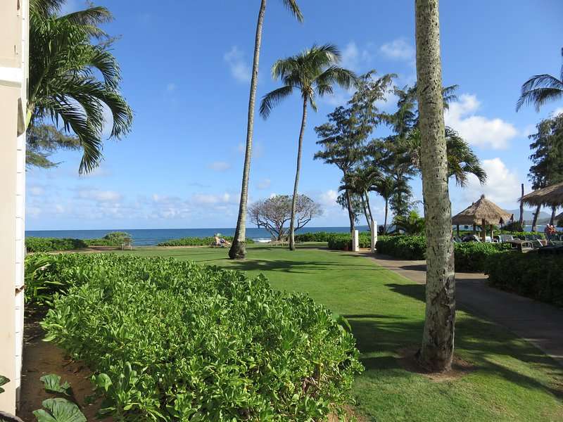 Kauai Kapaa #318 Ocean view condo Vacation Rental by owner oceanfront ...