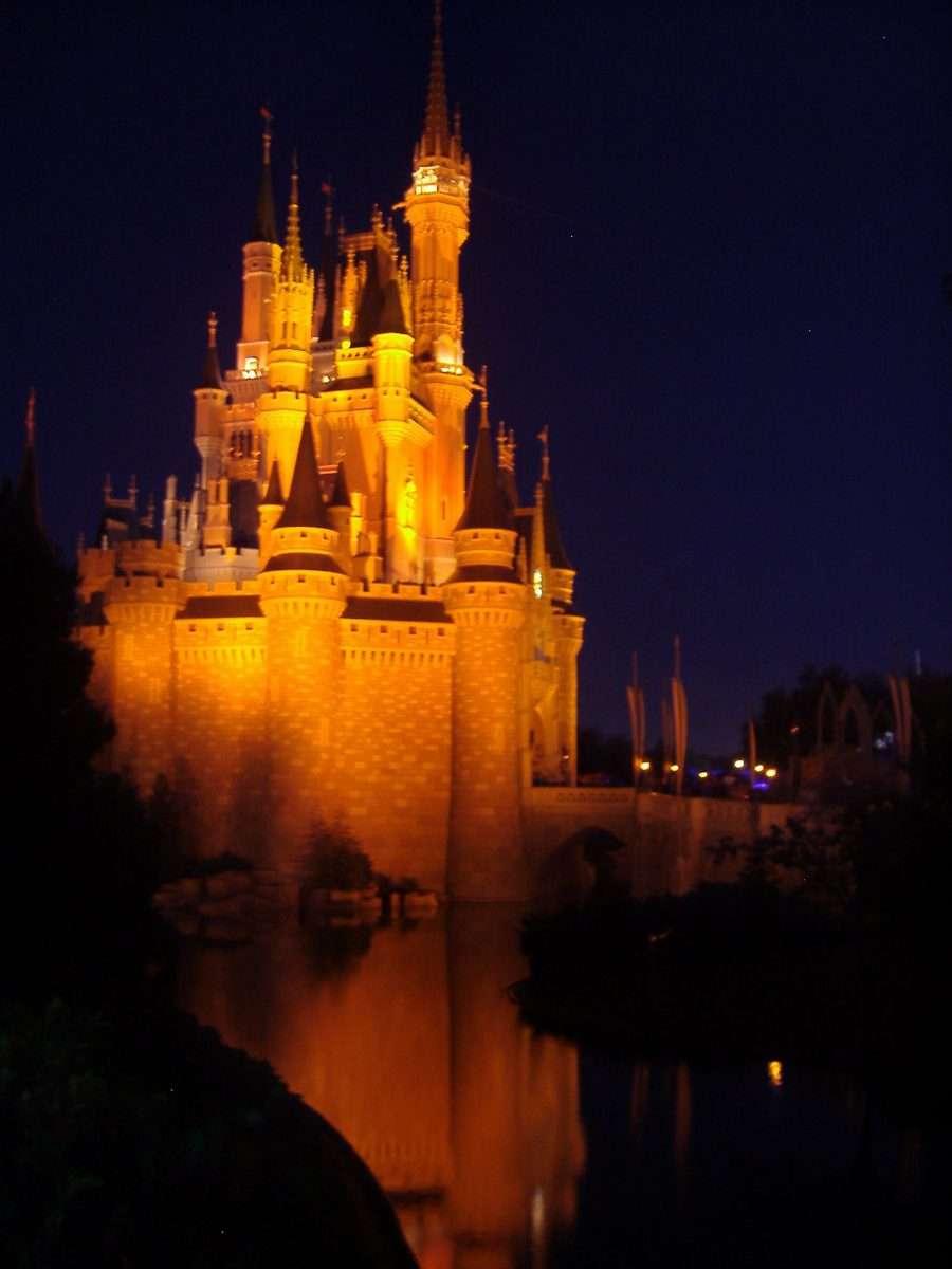 Magic Kingdom, Orlando, Florida. Castle at night.