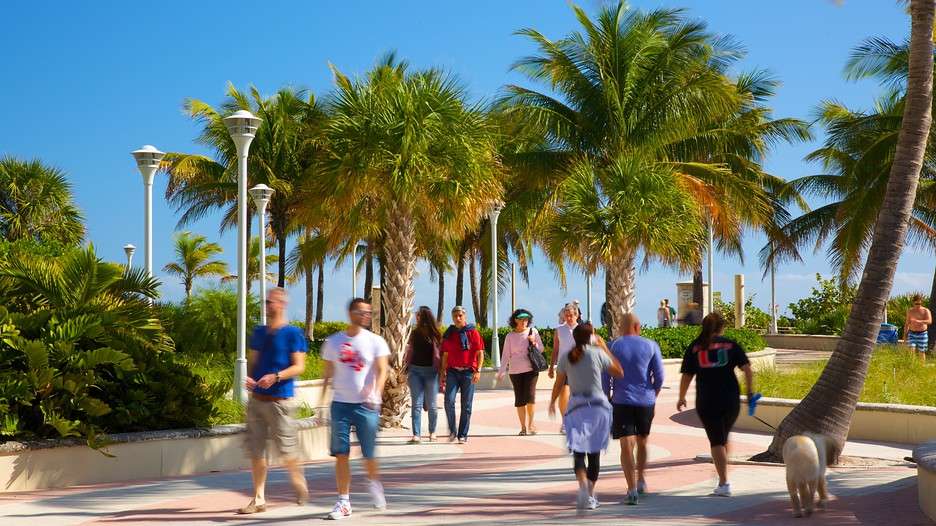 Miami Beach Vacations 2017: Package &  Save up to $603