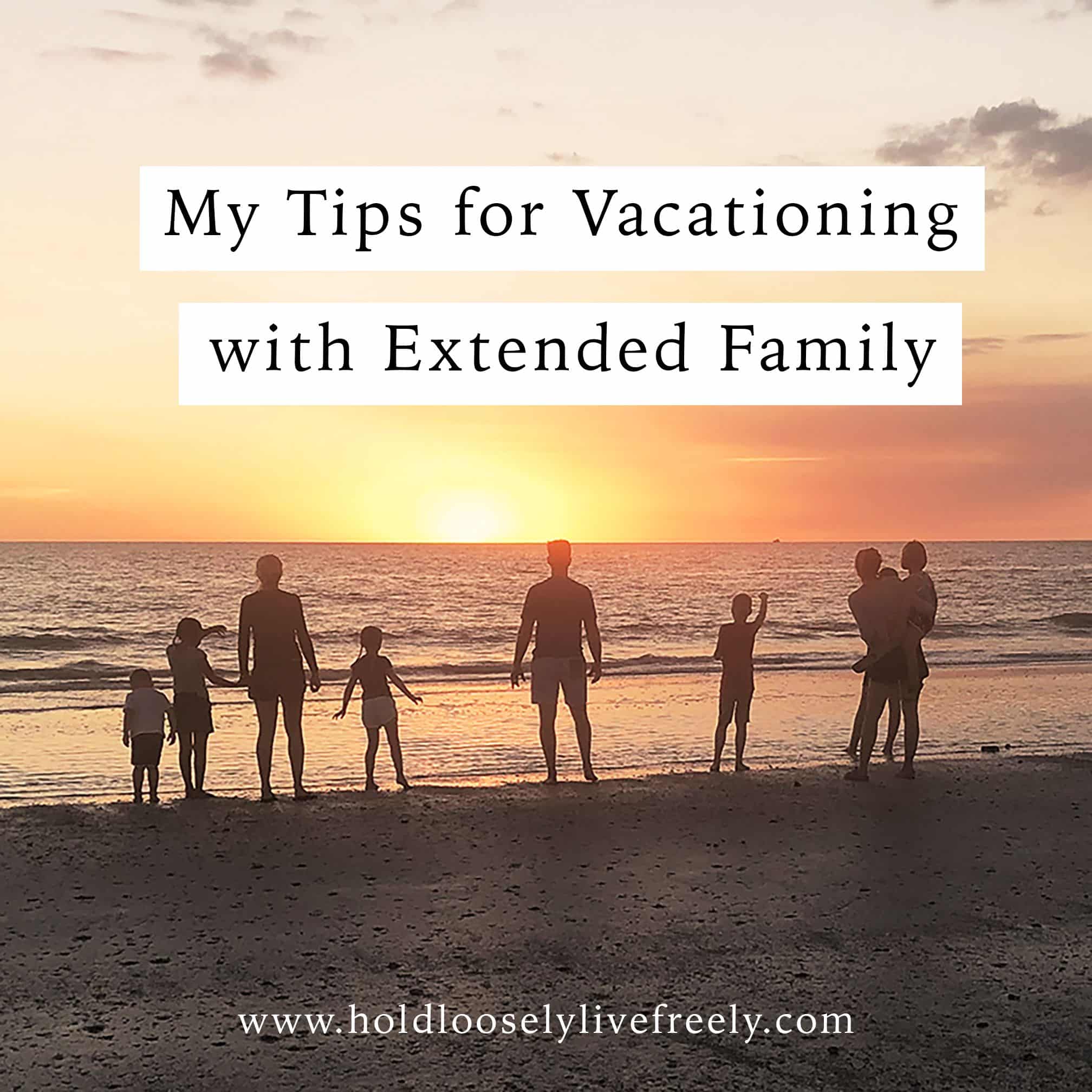 Tips for Large Family Travel