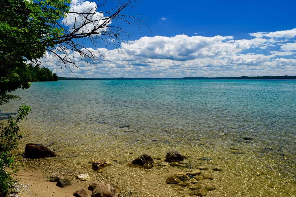 Top 20 Torch Lake, US pet friendly vacation rentals