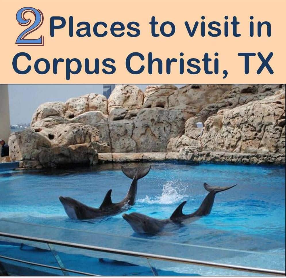 Visit these 2 Family Friendly places in Corpus Christi, Texas. These ...